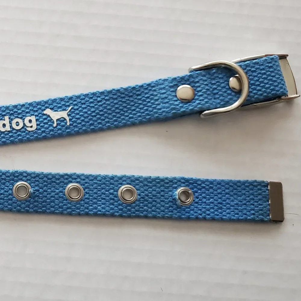 HTF Victoria Secret Pink RARE Dog Collar Vintage 2000's Aqua Blue Sooo Pretty - Picture 7 of 10